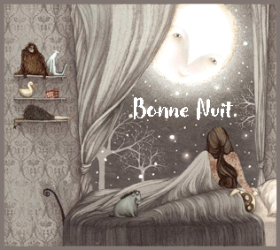 bonne nuit lune